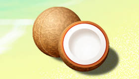 La traque des noix de coco